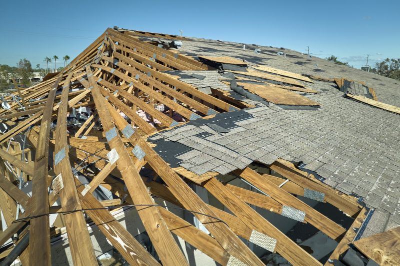 Damaged Roof Shingles