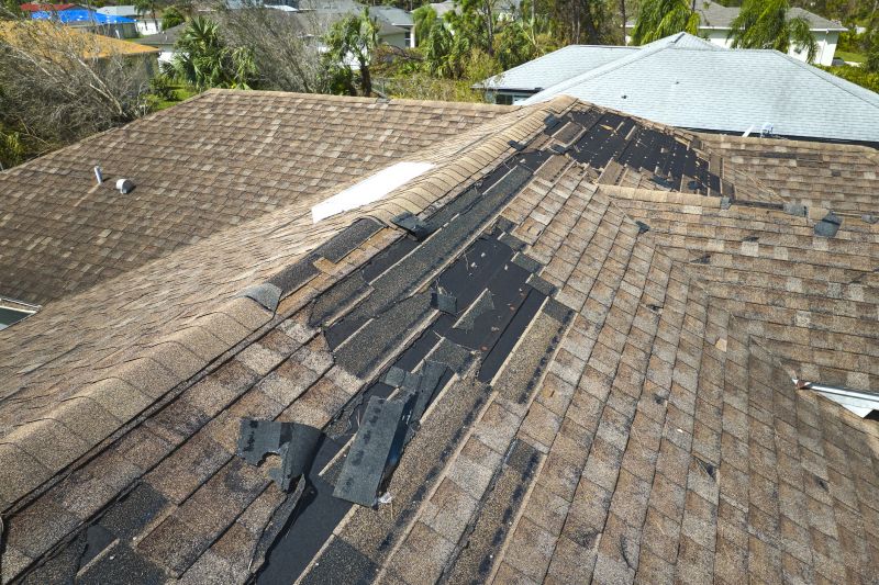 Damaged Roofing Shingles